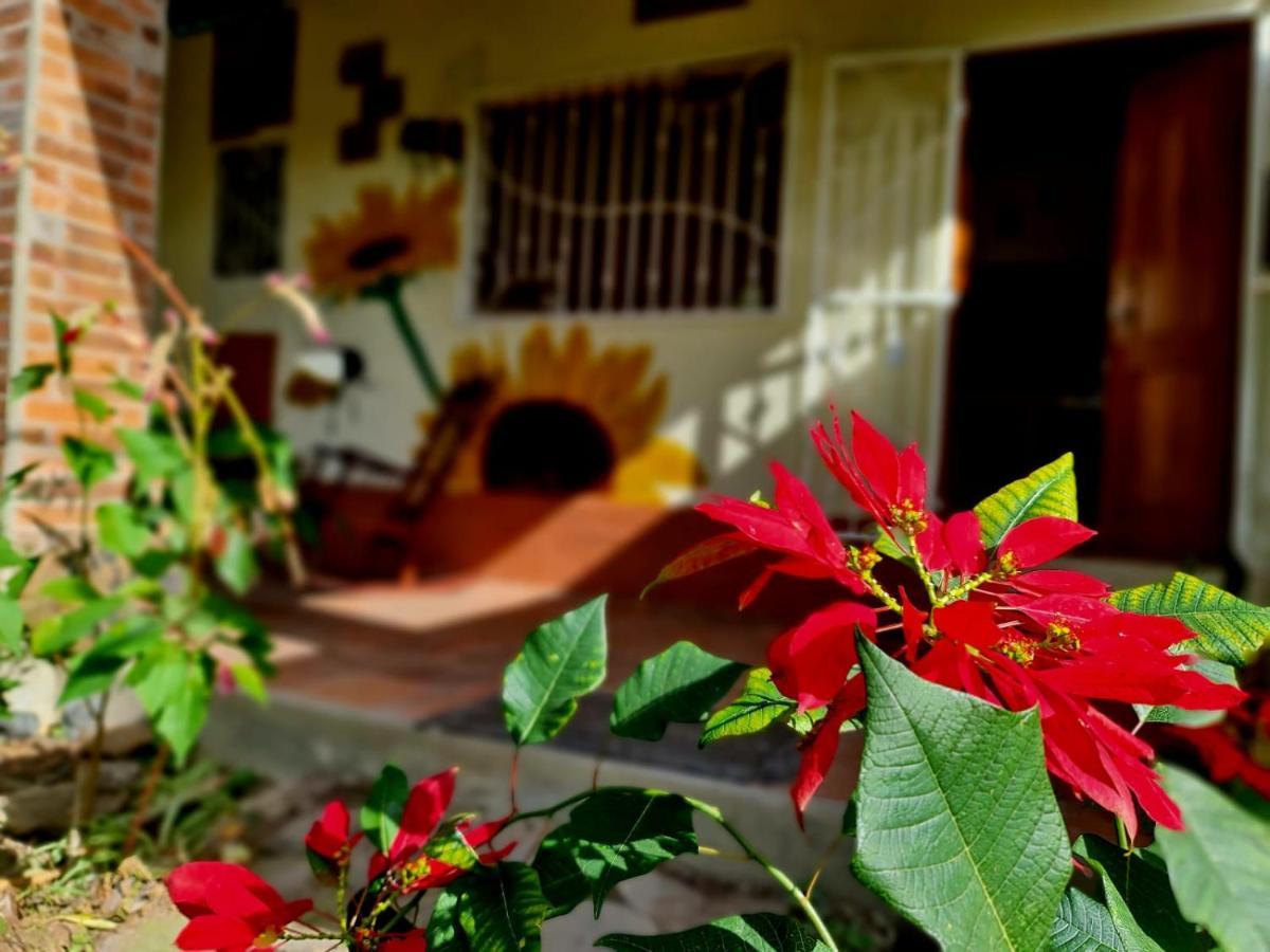 Estacion Biologica Aguali Hostel มาตากัลปา ภายนอก รูปภาพ